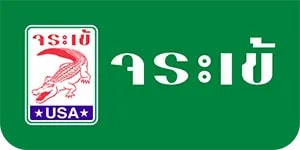 2. ปูนกาวตราจระเข้